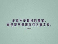 关于波波的唯美语录