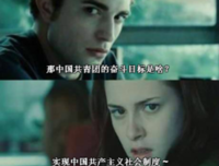 关于皮皮的名言