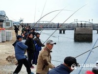 温均有：都是猪的错 | 就读这篇