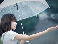 静静等待，看幸福花儿开