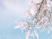 燕双飞的语句摘抄_关于燕双飞的语句