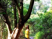 韦小宝为什么把妹这么厉害，他的第一招就是这些！