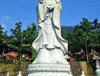 表白墙 | 我还在等你