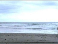 爱过以后，渐渐懂了！