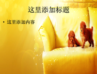 全世界我只想和你在一起2的读后感10篇
