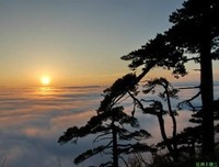 青青的悠然15句经典名言