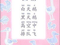 《教养蜂人识字的男孩》读后感精选10篇