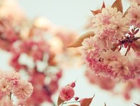 死缓读后感精选10篇