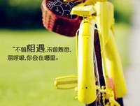悄无声息的句子