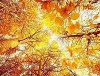 最新的《我欲封天》语录摘抄