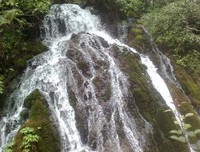 最新的《沙漏》好段摘抄