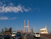 《黑猫白猫》观后感10篇