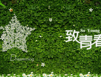 李清照经典语录