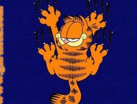 关于加菲猫名言名句