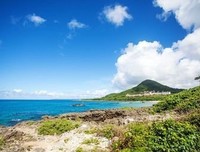 最全的春暖花开精彩语录