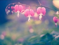 最全的《君子有九思》小说句子