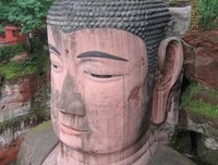 如何看懂书法读后感10篇