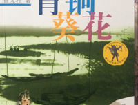《青铜葵花》读后感精选10篇