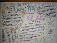 《一首朋克救地球》好段摘抄大全