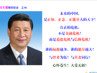杨志锋精彩语录