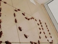 最经典的《让我留在你身边》经典的句子
