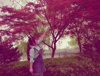 ”喜欢与爱，就好比想吃与去买“