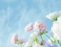 《青春美文》经典语录