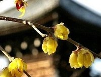 最经典的《好先生》经典句子