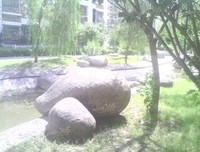 唐明的语句摘抄_关于唐明的语句