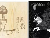 最新的《有美一朵，向晚生香》经典语录