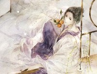 最新的《九国夜雪》小说句子大全