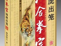 六合拳宗读后感精选10篇