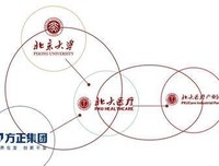 《迷局》的读后感10篇