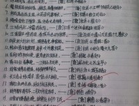 描写乖乖的经典句子