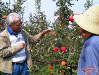 最新的《灿烂千阳》佳句摘抄