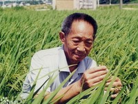 最经典的《德安斯格拉》经典名句