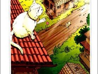 我是猫读后感10篇