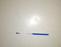 ▷早都是我的人了，难道你还怕……