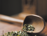 关于禅茶的格言