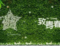 我们，是否还有好时光读后感10篇