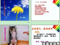 《再不远行，就老了》经典读后感10篇