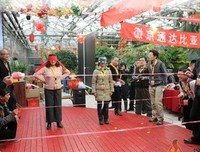《偷天陷阱》经典观后感集