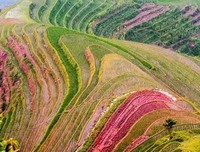 愿你不必取悦任何人读后感精选10篇