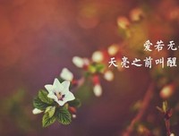 《平凡的世界》语录摘抄大全