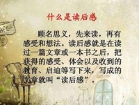 优秀的人，都敢对自己下狠手经典读后感10篇