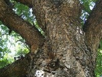 我读：我想和你一起虚度时光读后感精选10篇