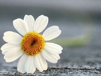 爱情里，什么最重要