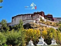 最经典的《不疯魔不成活》小说书摘