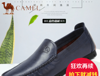 《春天 得以安葬》读后感10篇
