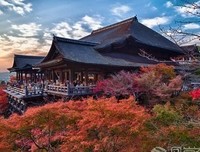 《我们可以 结婚 吗》经典观后感集